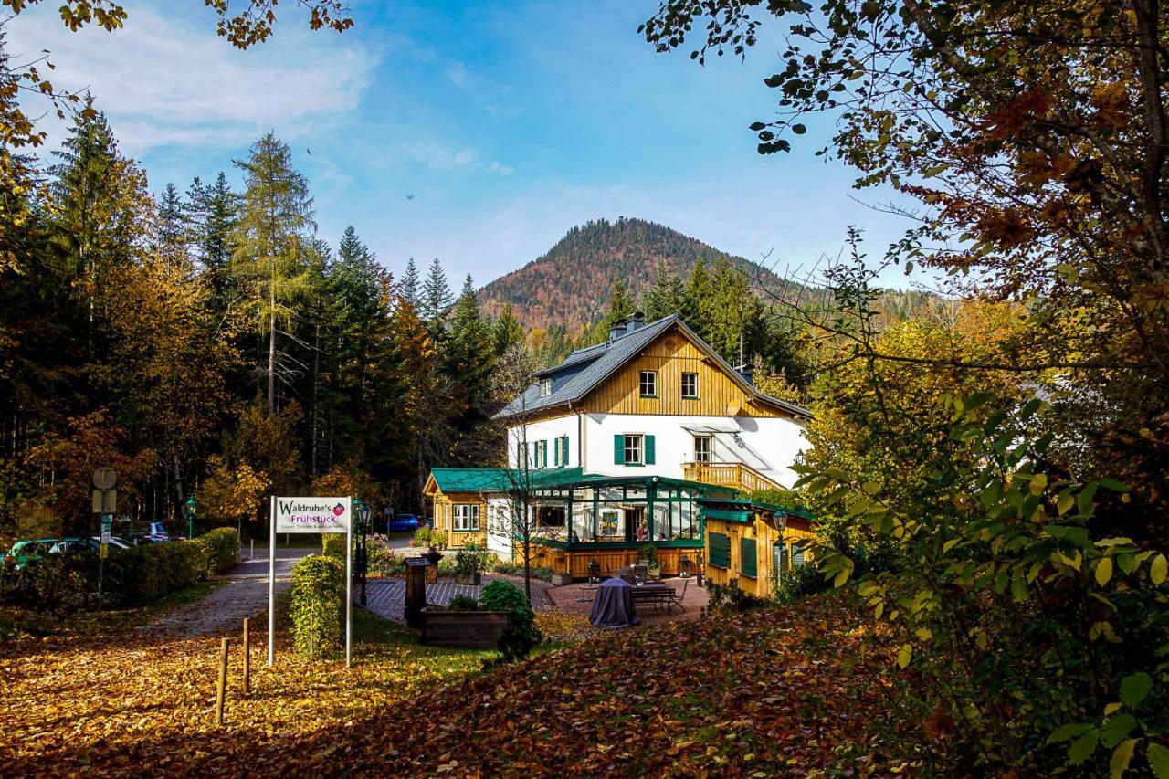 Bed and Breakfast Waldruhe - Bett, Fruehstueck & Ein Laecheln Bad Aussee Zewnętrze zdjęcie